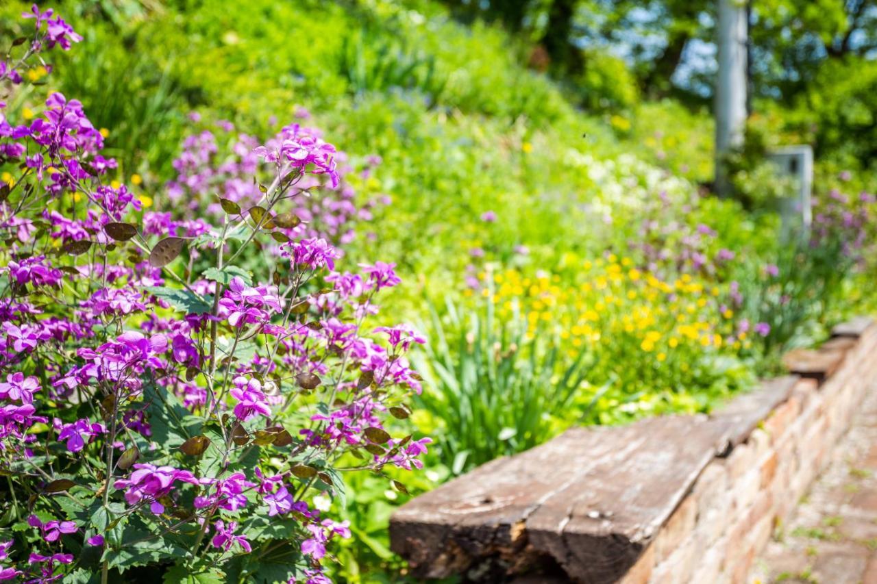 Apartmani Cerovecki Krapina Luaran gambar